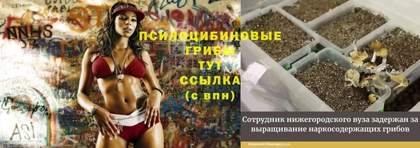 стаф Алексеевка
