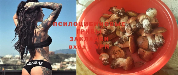 Альфа ПВП Армянск