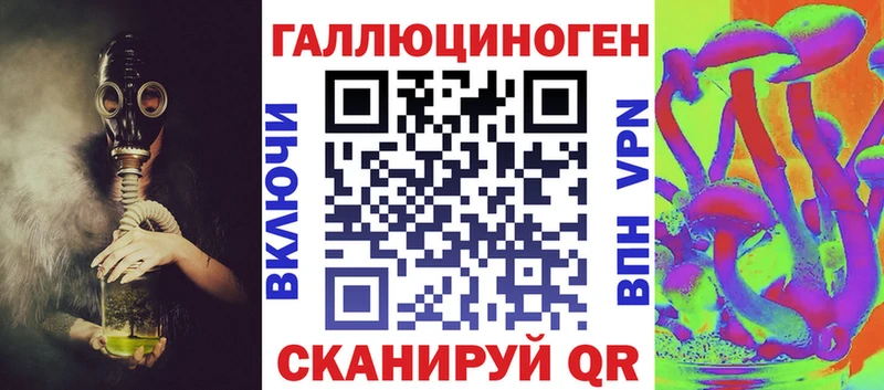 блэк спрут вход  где купить наркоту  Шадринск  Галлюциногенные грибы мицелий 