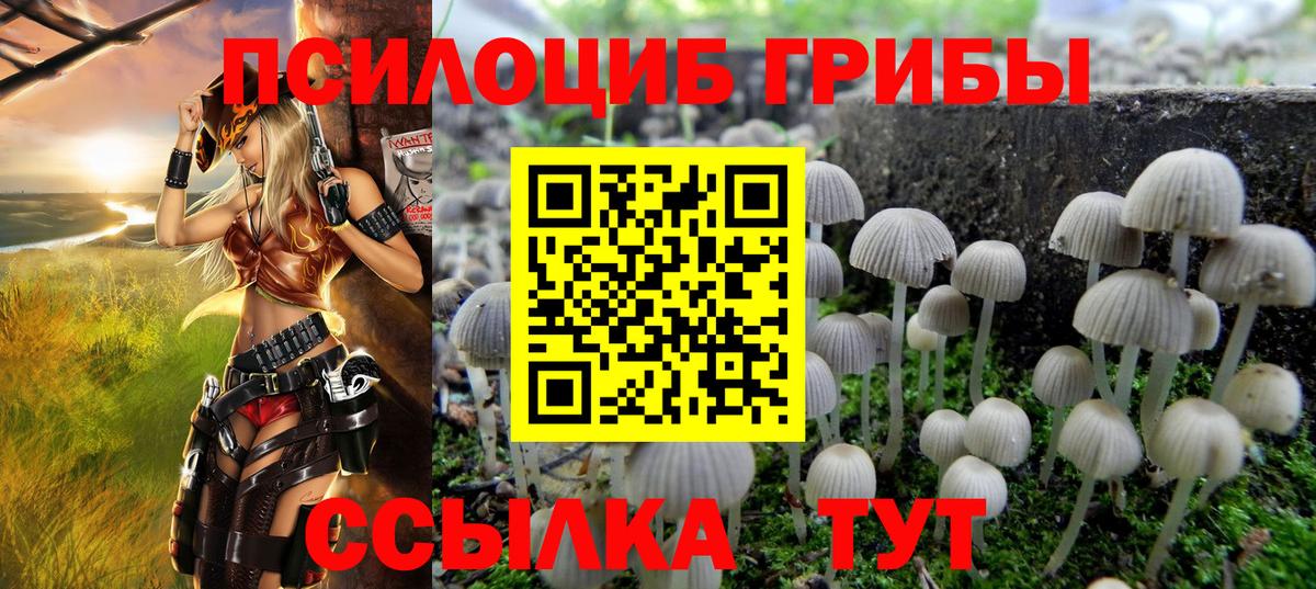 Шадринск  Галлюциногенные грибы Cubensis  Псилоцибиновые грибы прущие грибы  где можно купить   Вход с VPN 