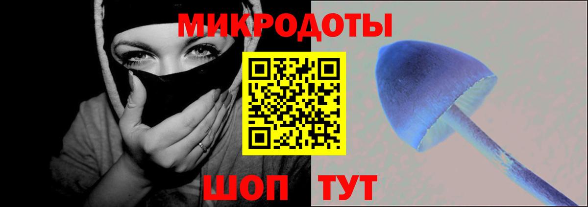 Псилоцибиновые грибы Psilocybe Шадринск